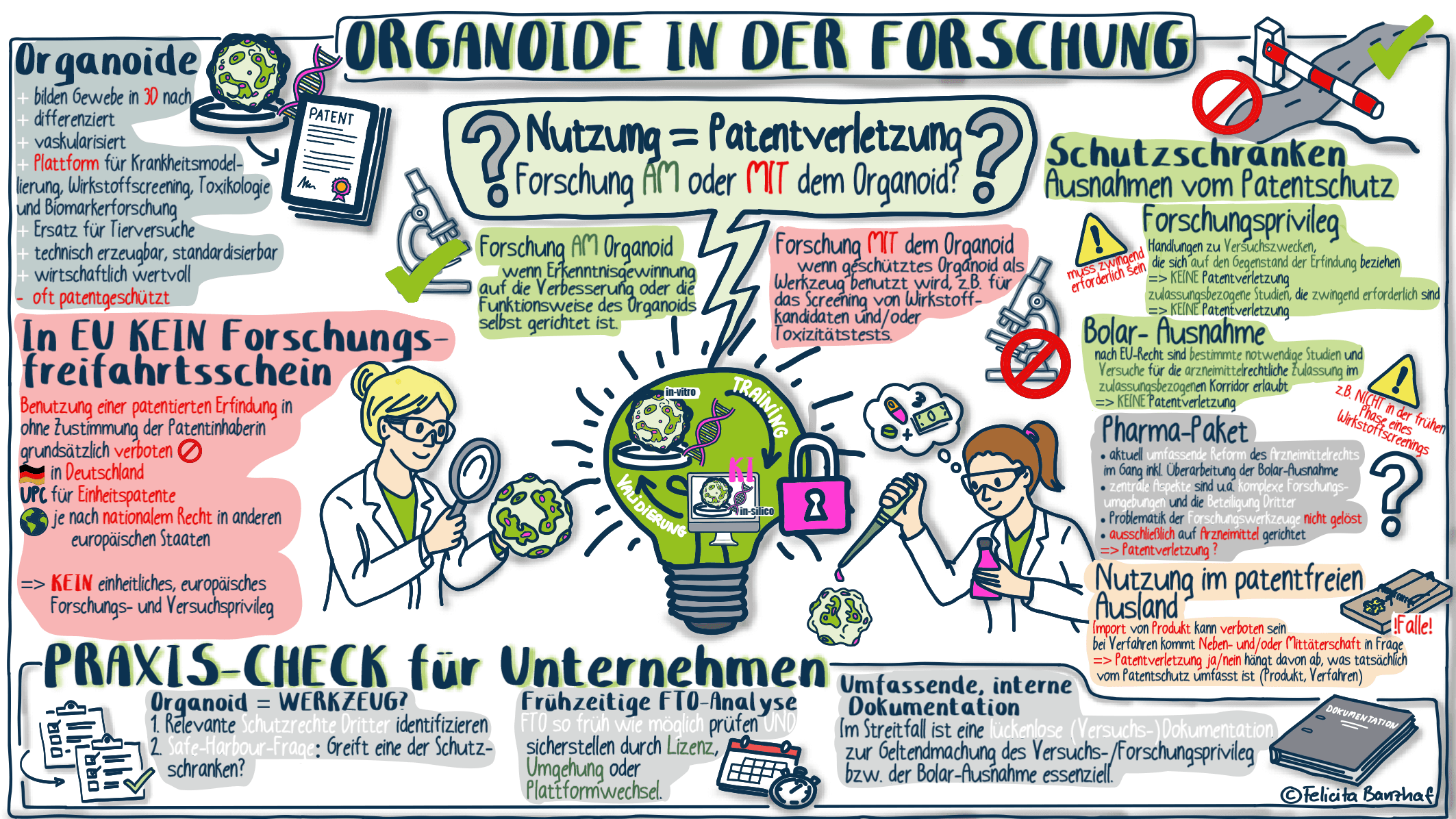 Organoide Darstellung
